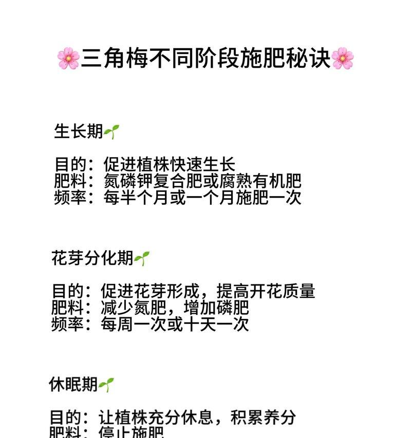 上海露养三角梅浇水施肥技巧是什么？