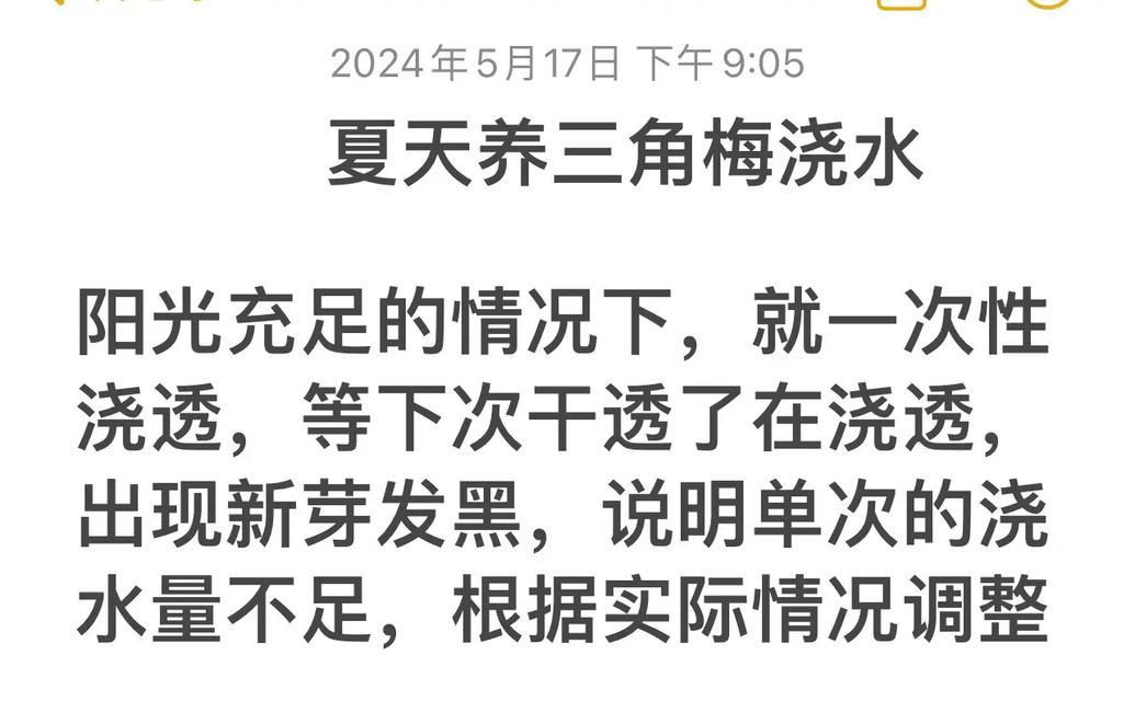 上海露养三角梅浇水施肥技巧是什么？