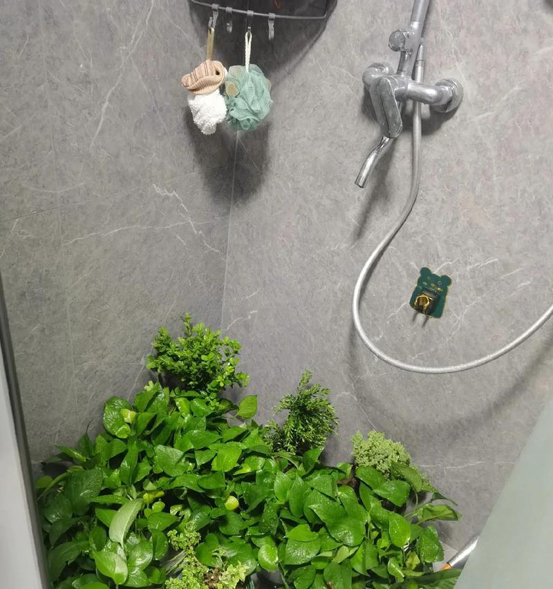 养花有哪些冷知识技巧？如何成为养花达人？
