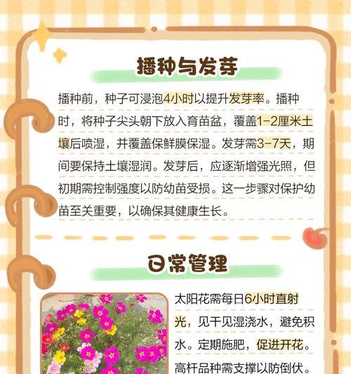 阳台种植太阳花不活的原因是什么？