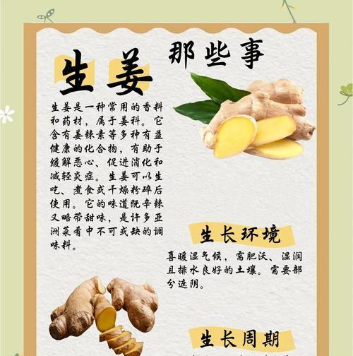 生姜叶子发黄怎么办？如何预防和处理？