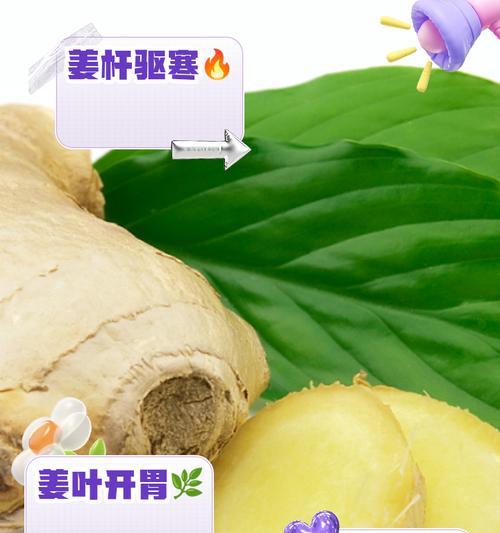 生姜叶子发黄怎么办？如何预防和处理？