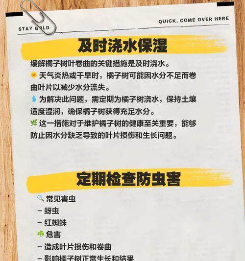 橘子结果后叶子发黄掉果的处理方法是什么？