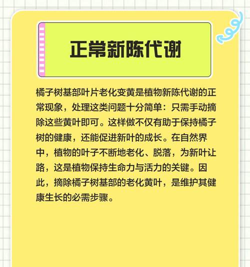 橘子结果后叶子发黄掉果的处理方法是什么？