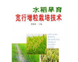 水稻绿色防控栽培技术包括哪些？