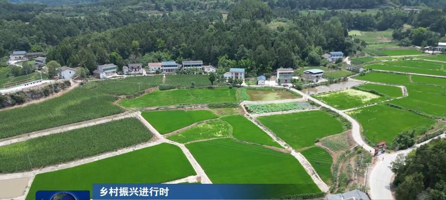 水稻绿色防控栽培技术包括哪些？