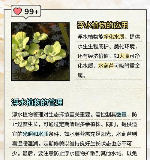 水生植物疯长有哪些常见问题？