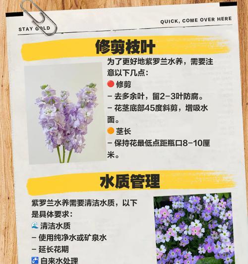 水培养花技巧小窍门有哪些？水培花卉的养护技巧是什么？