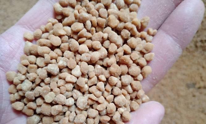 自制天然钙肥料配方怎么做？有哪些材料和步骤？