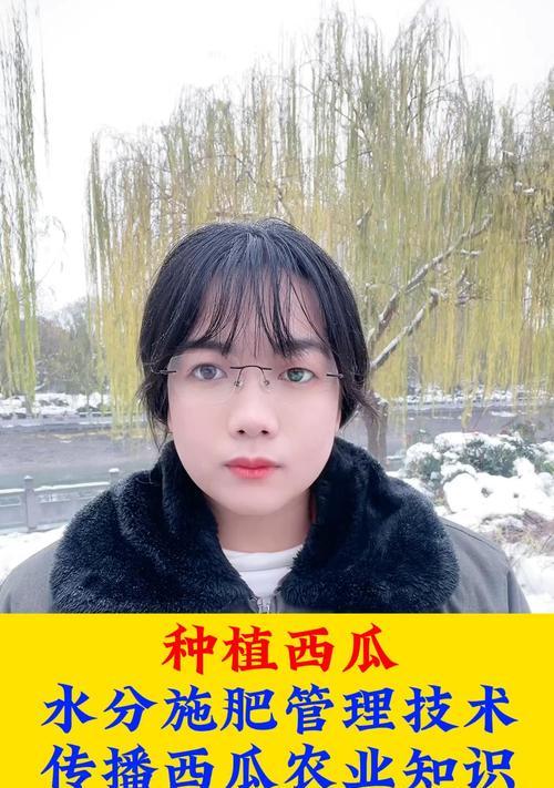 西瓜后期施肥管理需要注意哪些技巧？