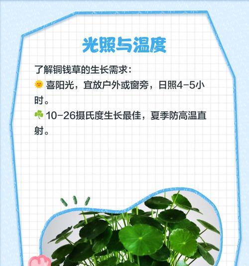 室内盆景水草的养护技巧有哪些？