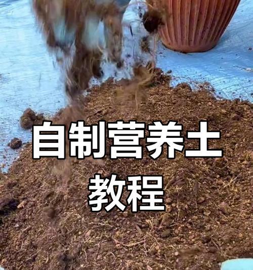 自制土壤肥料的方法有哪些？