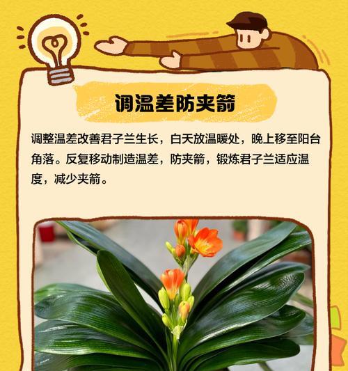 君子兰吸收氡气后如何处理？