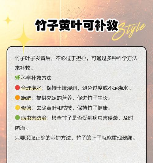 叶子发黄怎么办？有哪些有效的方法？