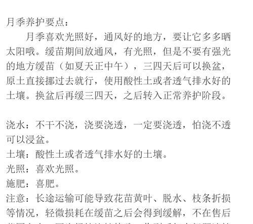 超微月季叶子发黄干枯怎么办？修剪方法是什么？