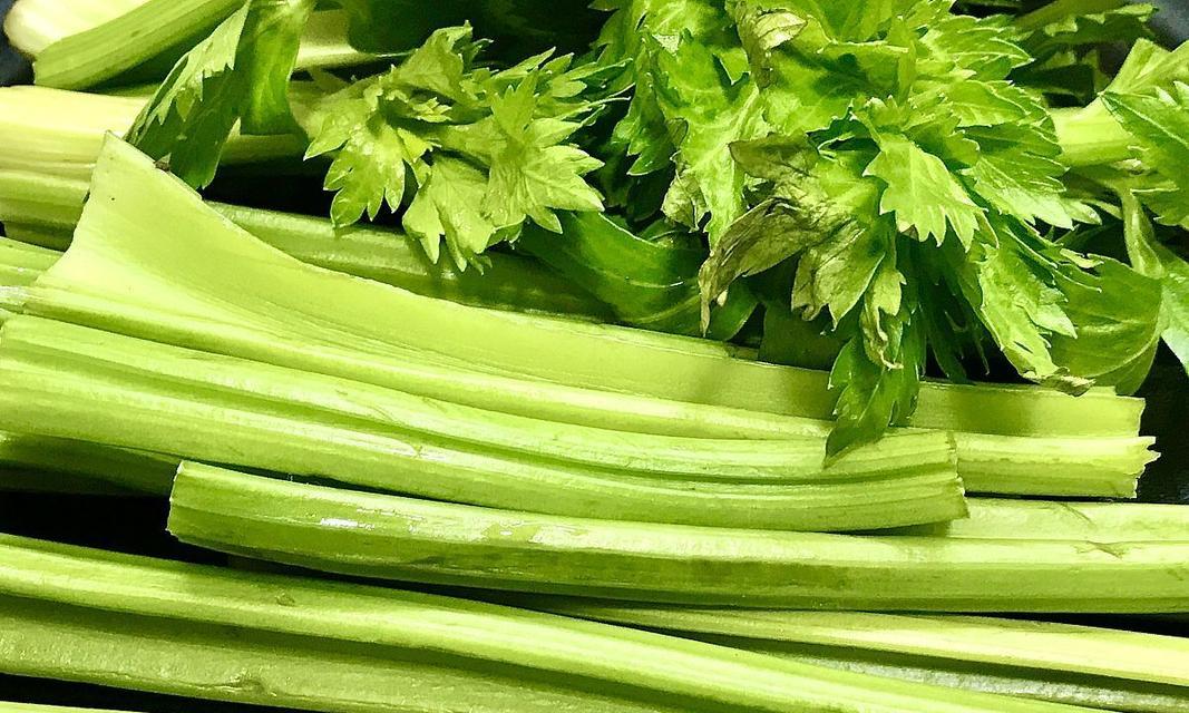 芹菜秧子栽培的关键技术是什么？