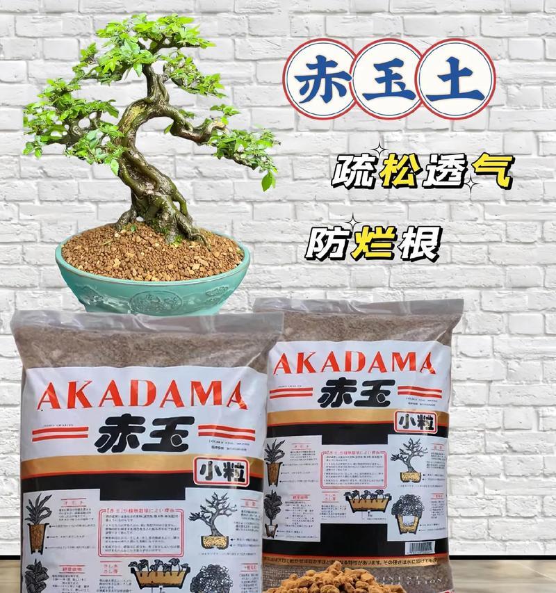 盆景老桩搭配土壤的技巧是什么？