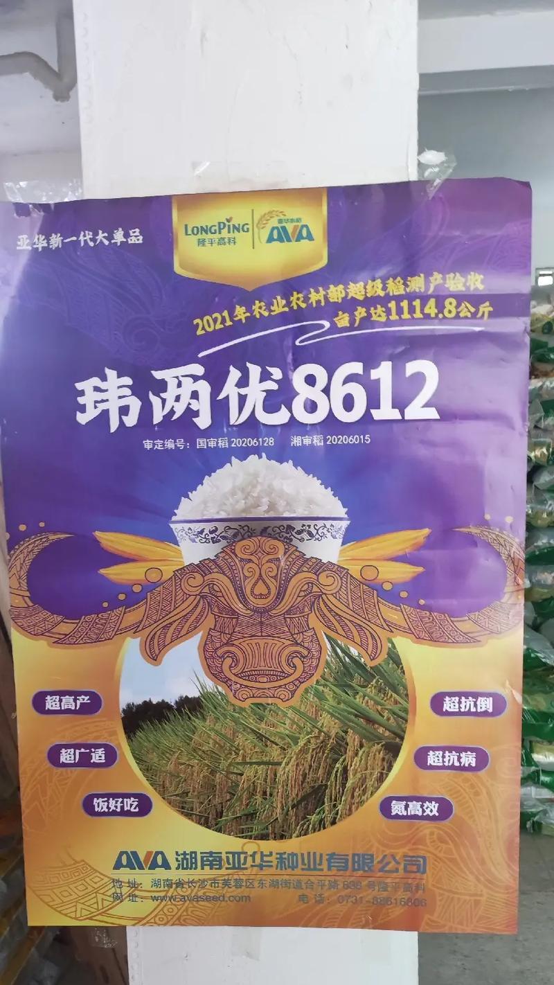 丁毒豆什么时候播种好？如何选择最佳的播种时间？