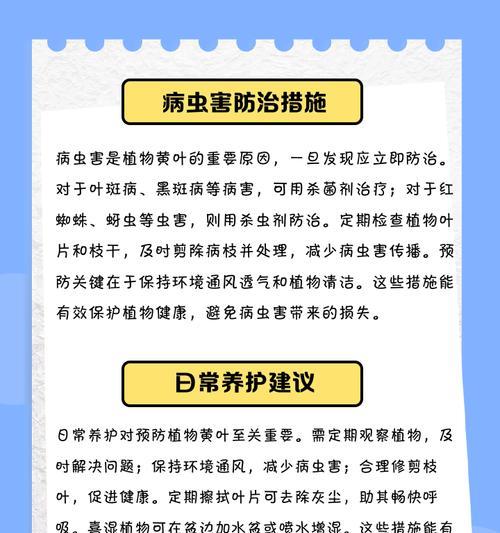 叶子发黄的克星是什么？如何解决叶子发黄问题？