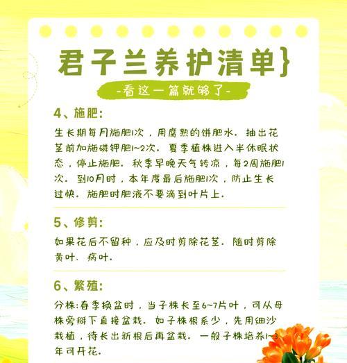 空调环境下君子兰的养护技巧是什么？