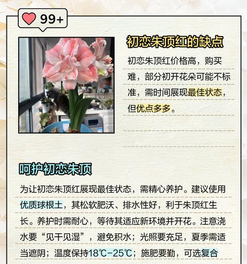 朱顶红喷优芽素的作用是什么？