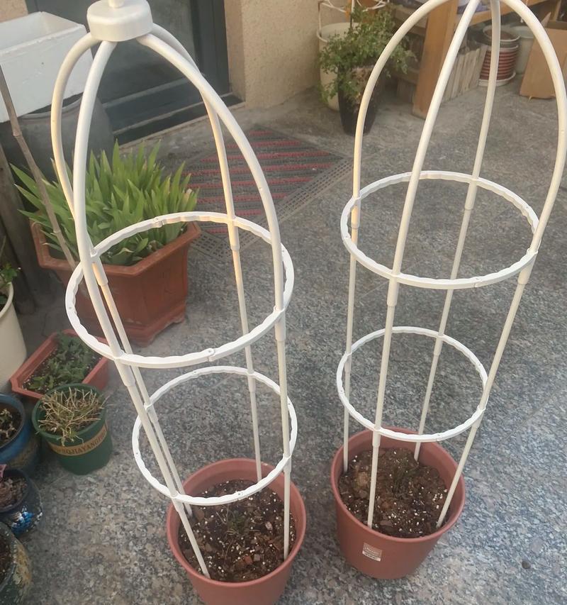 如何自制小型铁线莲架子？