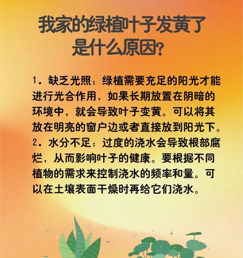 春秋发黄叶子怎么回事？可能的原因是什么？