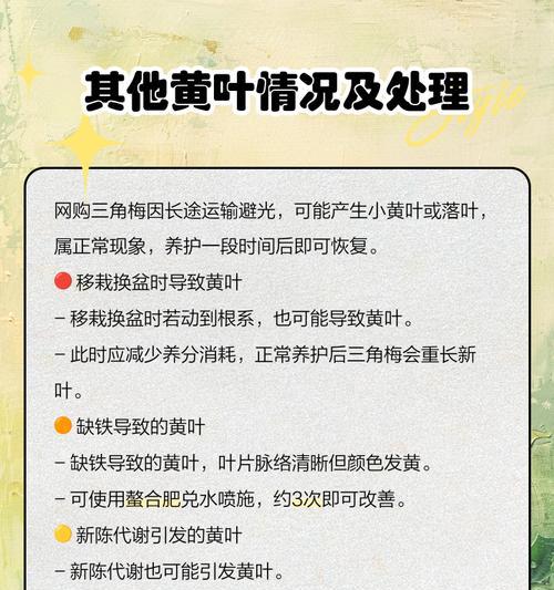春秋发黄叶子怎么回事？可能的原因是什么？
