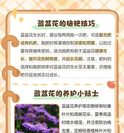 蓝花丹栽培的关键技术要点是什么？