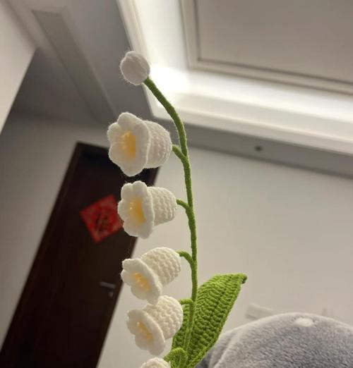 铃兰叶子发黄的解决措施是什么？