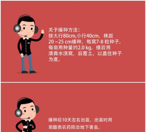 二分播种的原因是什么？有何优势？