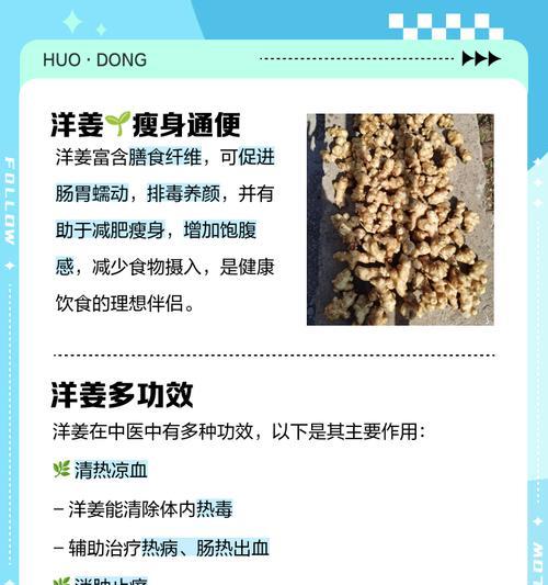 洋生姜的最佳播种季节是什么时候？