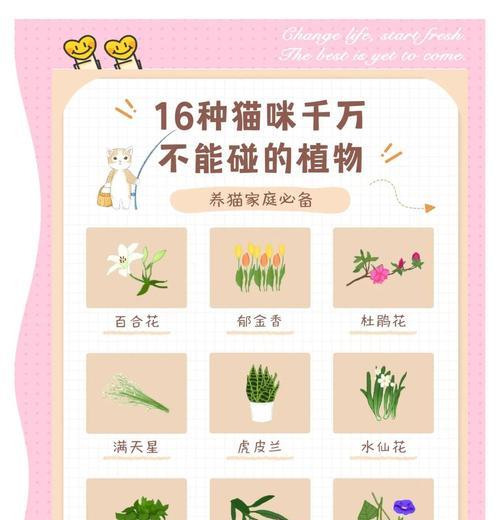 养花猫的小技巧是什么？如何避免猫咪破坏植物？