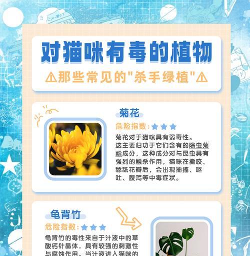 养花猫的小技巧是什么？如何避免猫咪破坏植物？