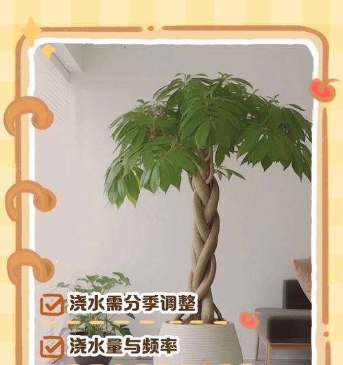 绿芙蓉如何正确浇水？浇水技巧有哪些？