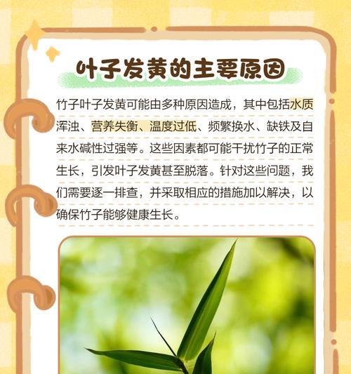 黄果树叶子怎么发黄？黄果树叶子发黄的原因是什么？