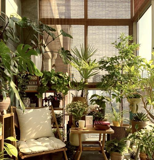 自己阳台养的花和鸟叫什么？阳台生态小环境的构建指南是什么？