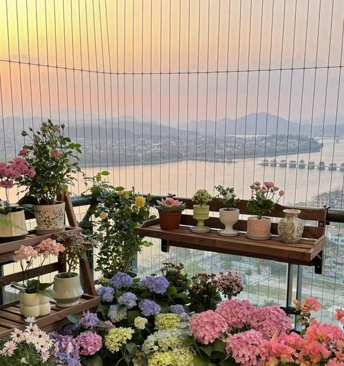 自己阳台养的花和鸟叫什么？阳台生态小环境的构建指南是什么？