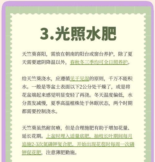 ai天竺葵怎么养？有哪些注意事项？