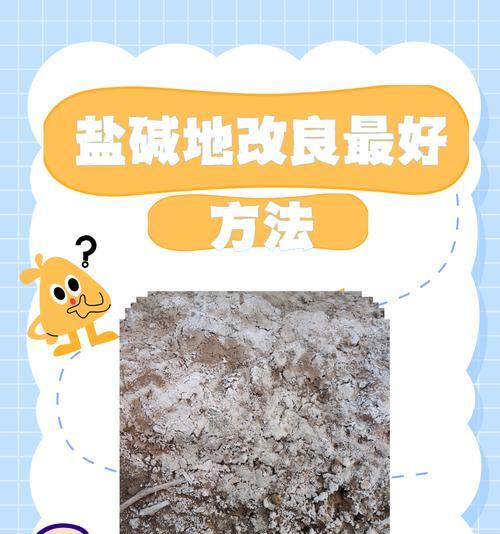 自制肥料土壤的制作步骤是什么？