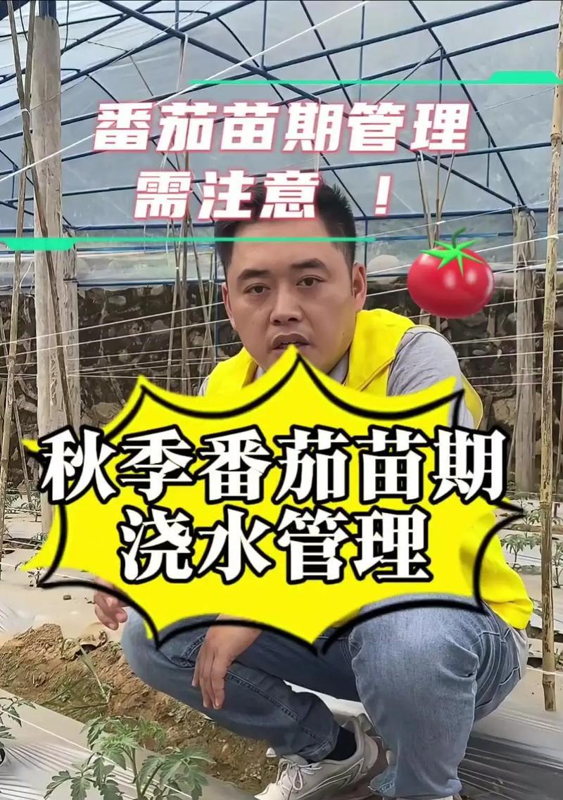 红龙果种植方法什么时候浇水？如何掌握正确的浇水时机？