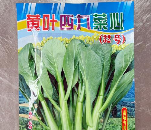 作物菜心栽培技术要点有哪些？怎样才能高产？