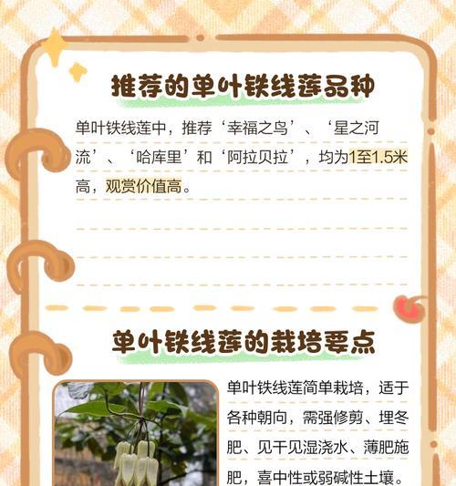 铁线莲新苗老叶子问题如何解决？