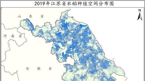 晚季水稻最晚播种时间是什么时候？