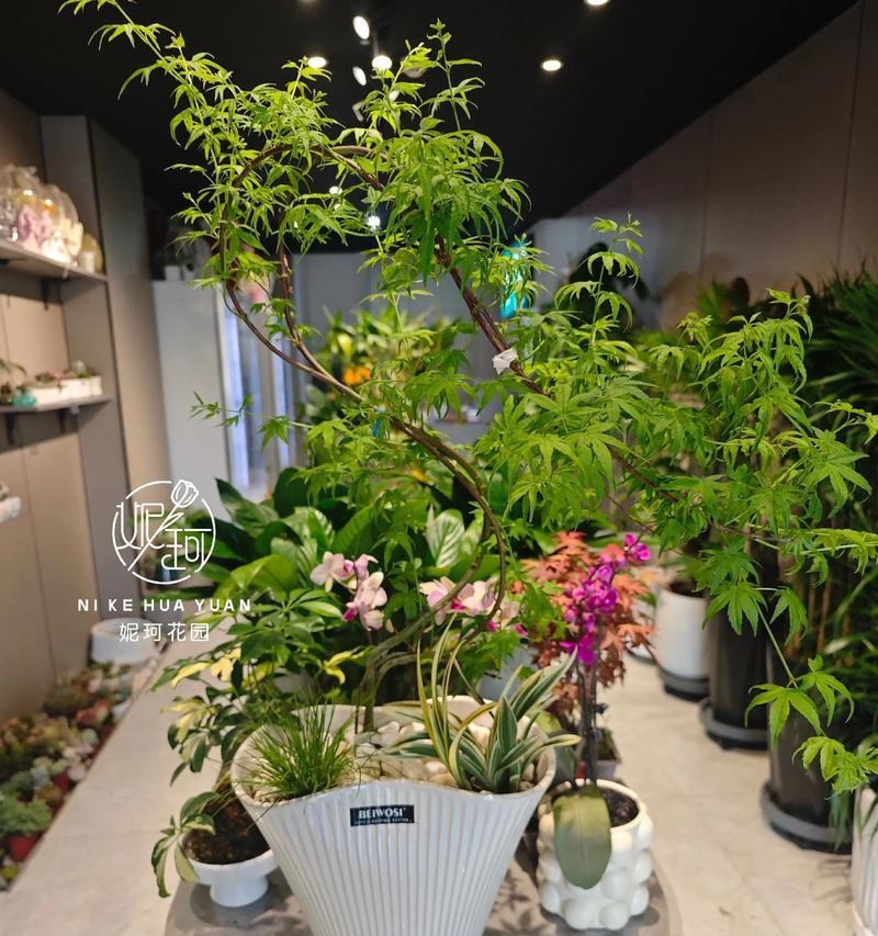 有哪些有趣的植物种植经验？