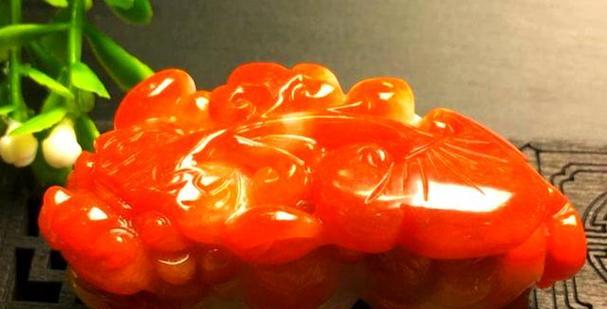 红翡翠的栽培技术有哪些？