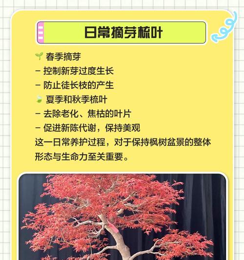 红枫截断栽培技术有哪些？