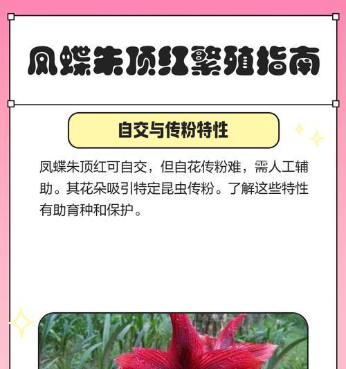朱顶红繁殖的最佳时间是什么时候？