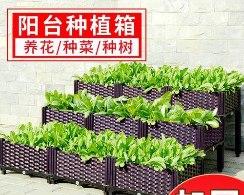 阳台仿真花叫什么？如何选择合适的款式？