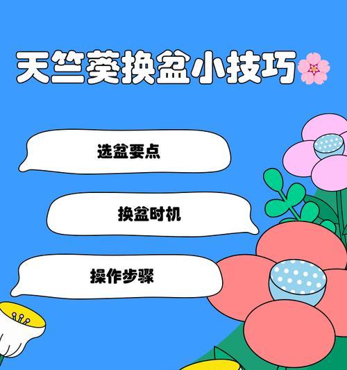 如何用天竺葵进行科学实验？实验步骤和注意事项是什么？